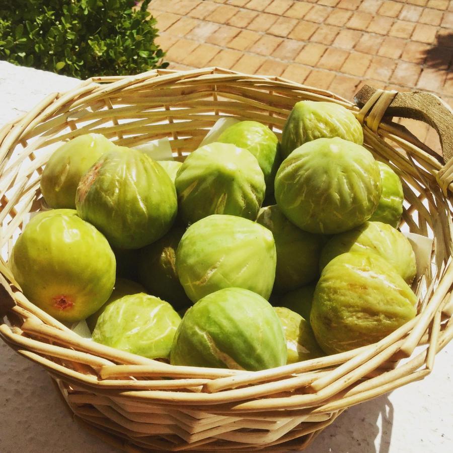 مبيت وإفطار ساليرنو La Riggiola المظهر الخارجي الصورة